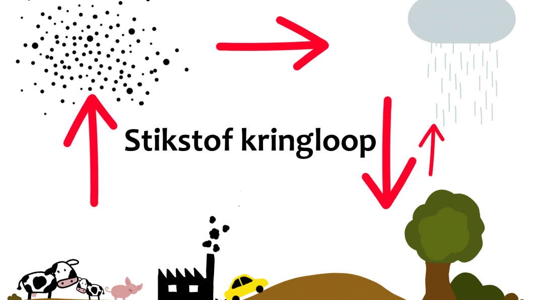 stikstof kringloop.png