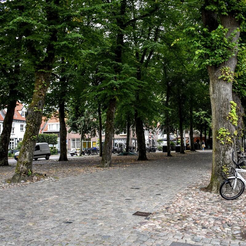 Bomen vissersmarkt