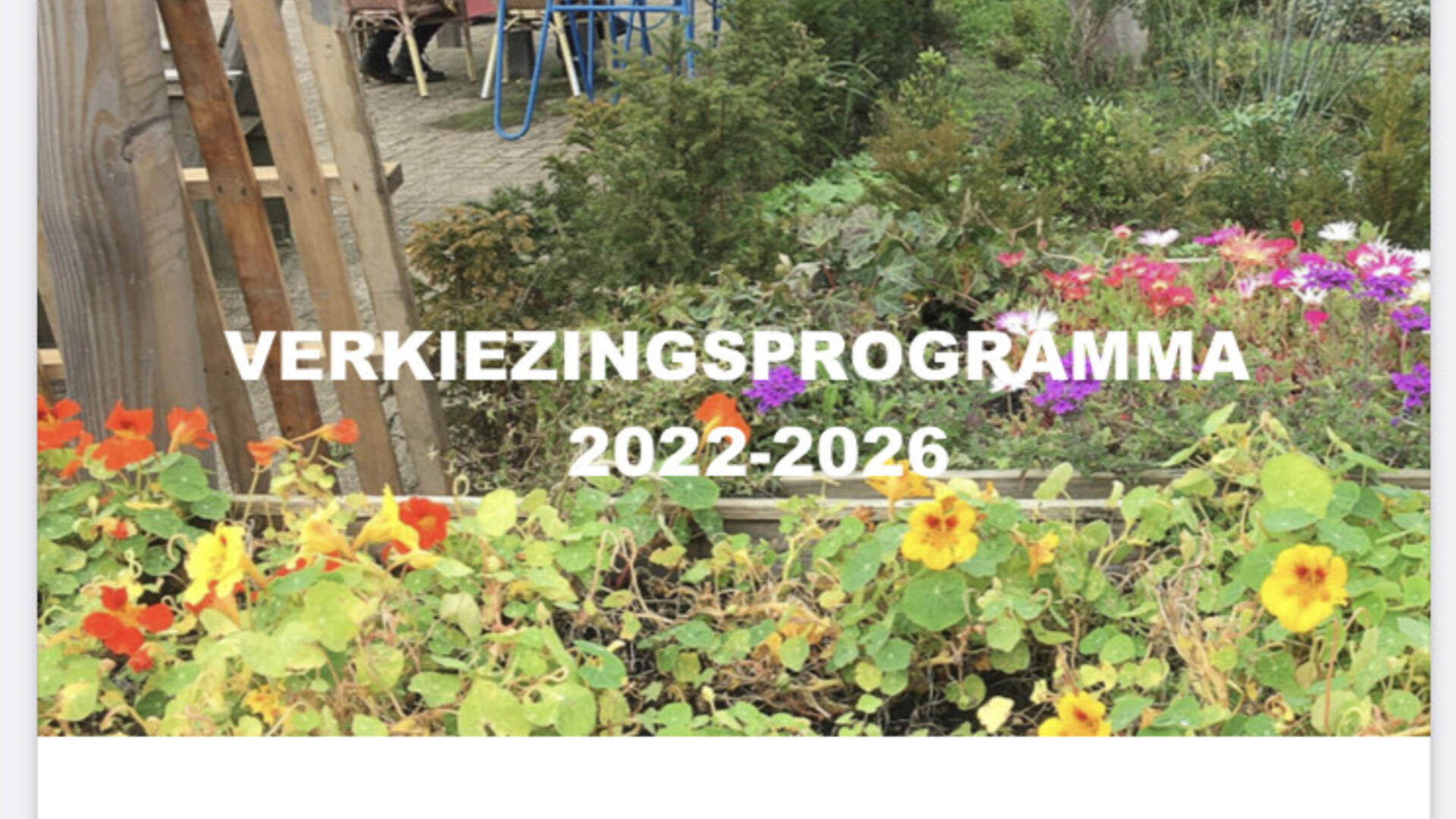 Verkiezingsprogramma 