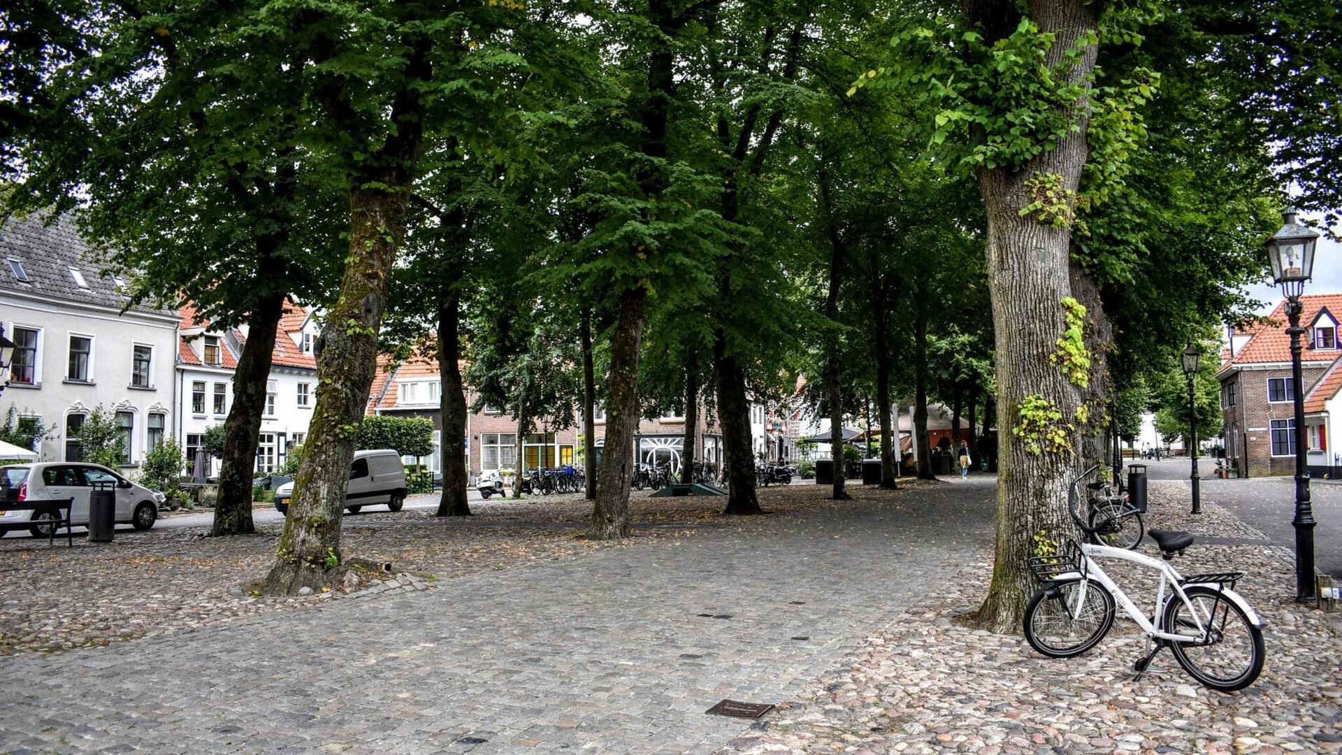 Bomen vissersmarkt